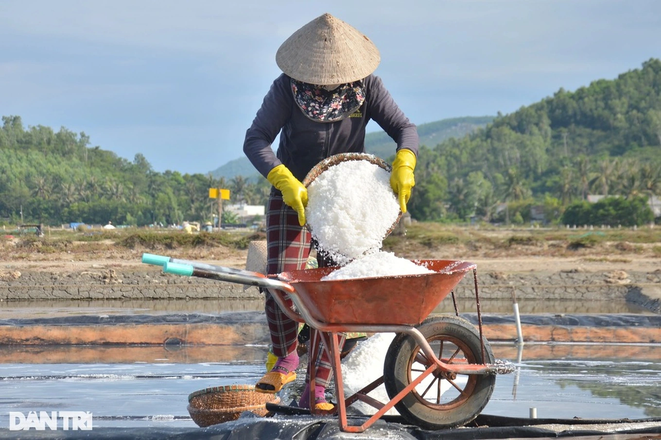 Vàng trắng, bạc mặn sẽ được giới thiệu đi Mỹ - 1