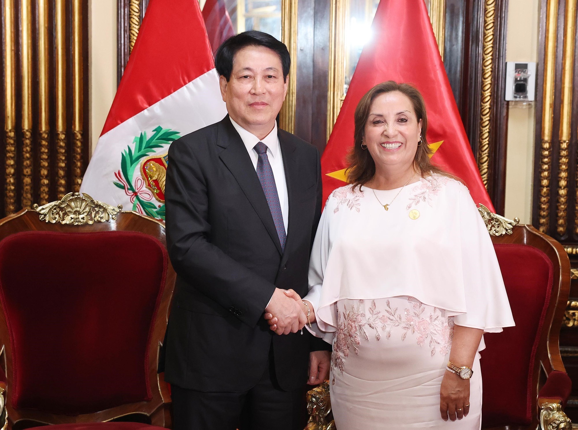 Ke arah membawa hubungan Vietnam - Peru ke tahap yang lebih tinggi - Foto 1. Hướng tới việc đưa quan hệ Việt Nam - Peru lên tầm cao mới- Ảnh 1.