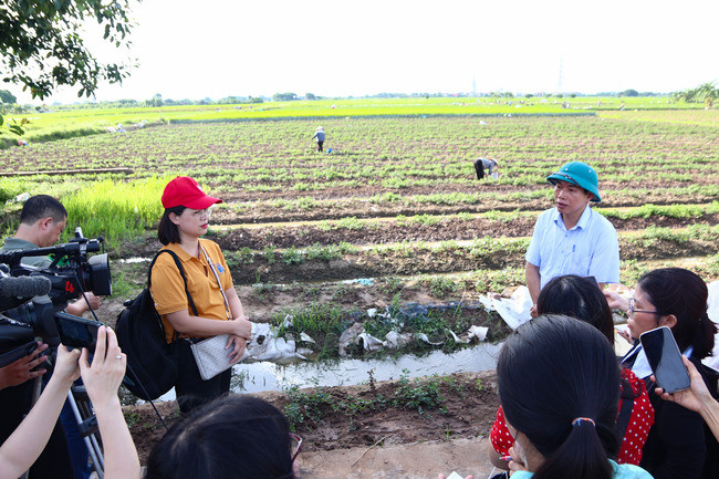 Traphaco tham gia tổ chức chương trình tập huấn báo chí về phát triển bền vững