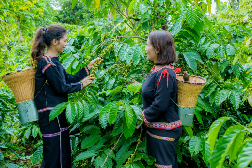 Trụ vững, phát triển nhờ nguồn vốn từ Agribank