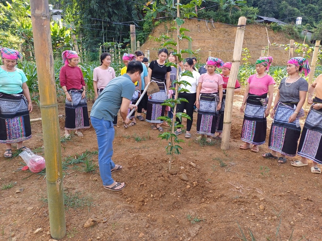 Mặc dù công tác dạy nghề đã có bước đột phá (về số lượng), nhưng tỷ lệ LĐ nông thôn qua đào tạo, có chứng chỉ vẫn rất thấp so với lực lượng LĐ hiện có; LĐ người DTTS chủ yếu học nghề nông nghiệp. (Trong ảnh: Giảng viên Trung tâm Giáo dục nghề nghiệp – Giáo dục thường xuyên huyện Tam Đường, tỉnh Lai Châu hướng dẫn người dân trồng chanh leo)