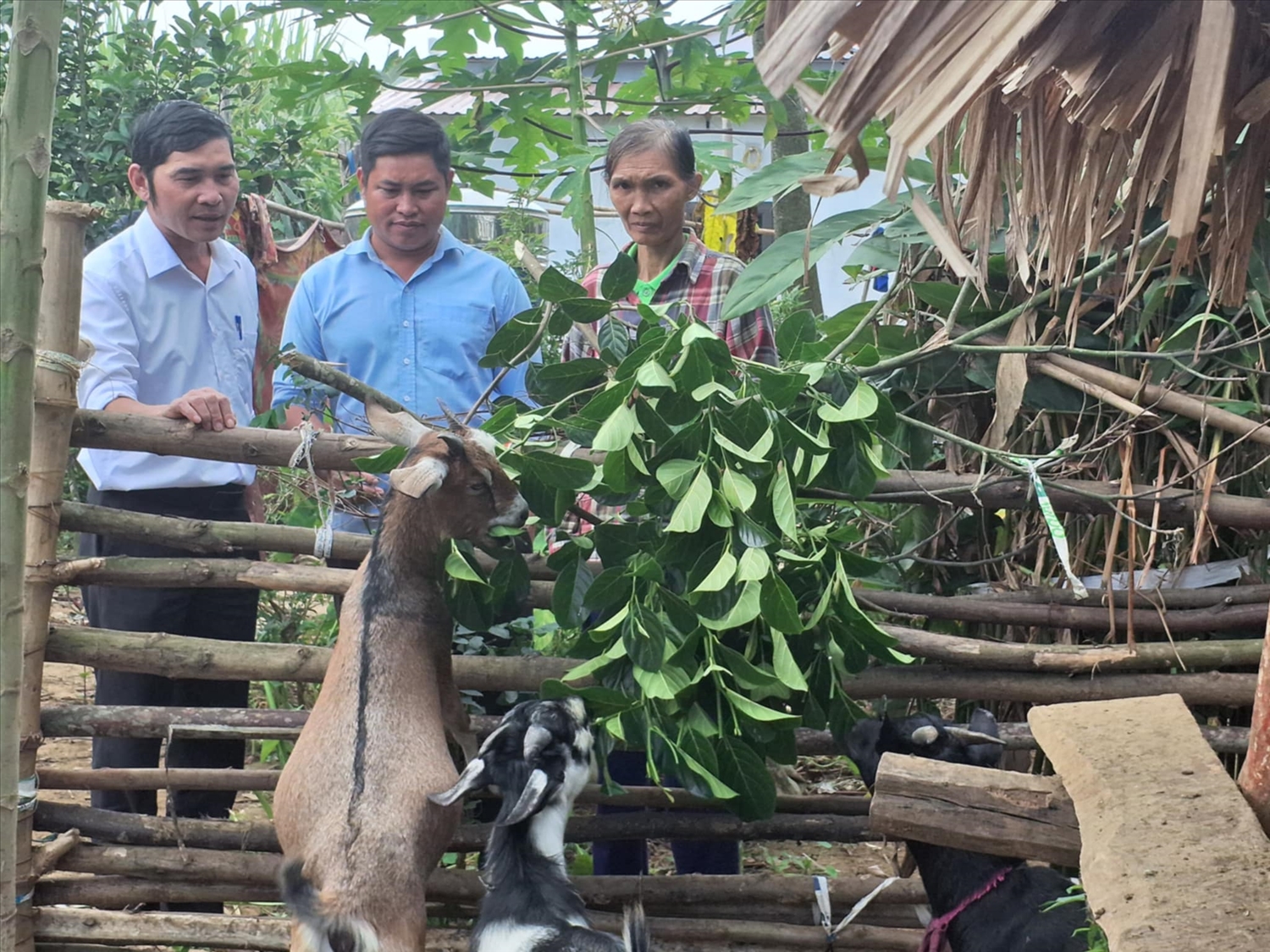 (CĐ Nghĩa Đàn 2): Nội dung hỗ trợ nhà ở; hỗ trợ sinh kế giúp nhiều hộ đồng bào ở Nghĩa Đàn thoát nghèo 3