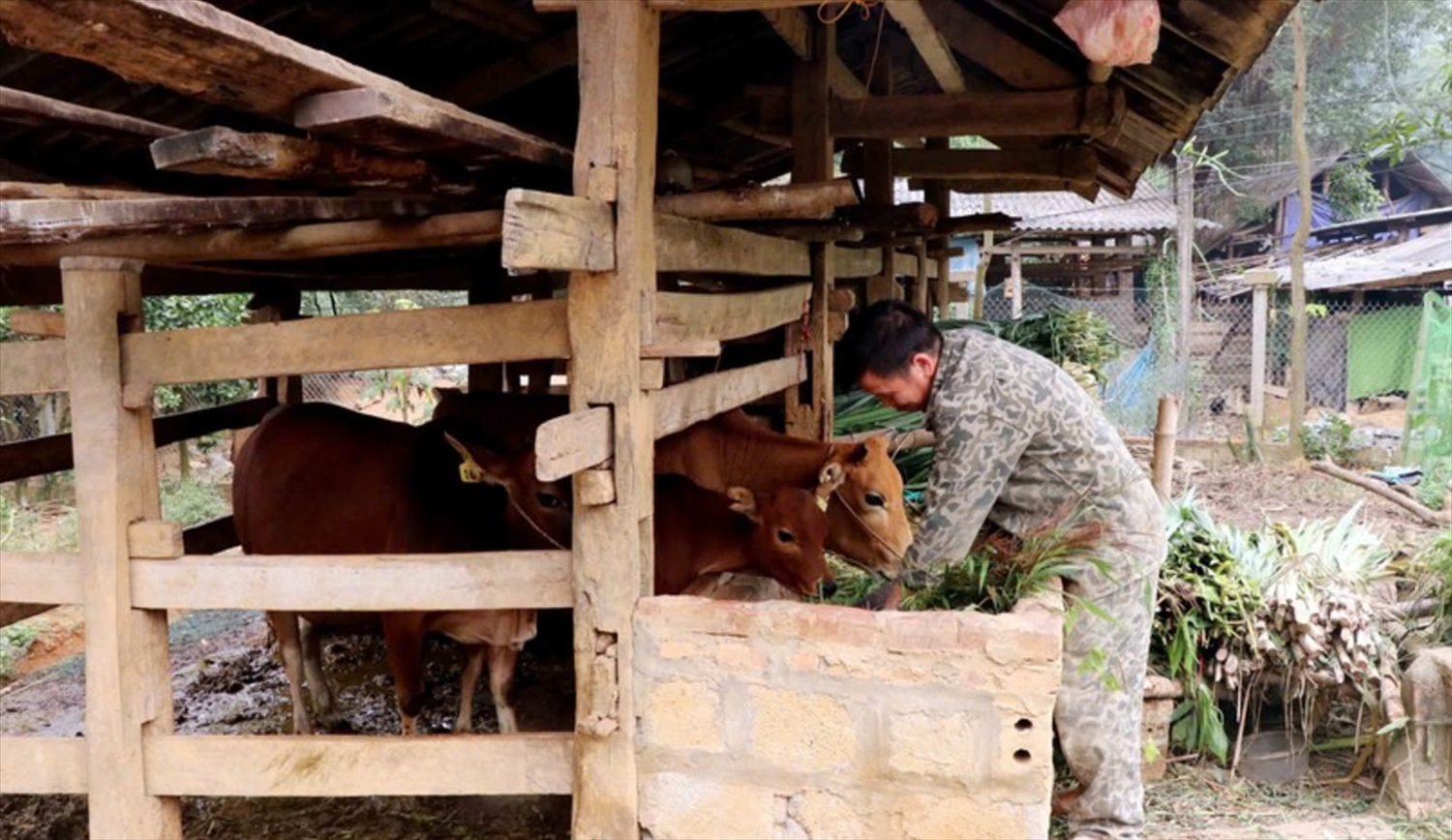 Sơn Dương đang thực hiện tốt phong trào thi đua giảm nghèo, làm giàu bền vững ở nhiều địa phương