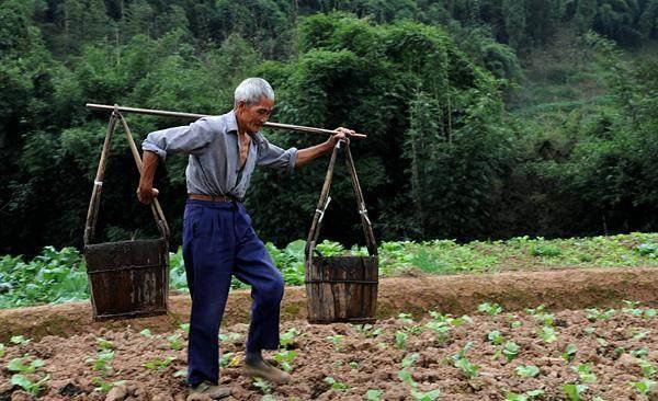 Bố chồng 85 tuổi vẫn mang đồ ăn đến tận nhà cho con cháu: Thấy thứ rơi ra từ bên trong túi, tôi bật khóc - Ảnh 4.