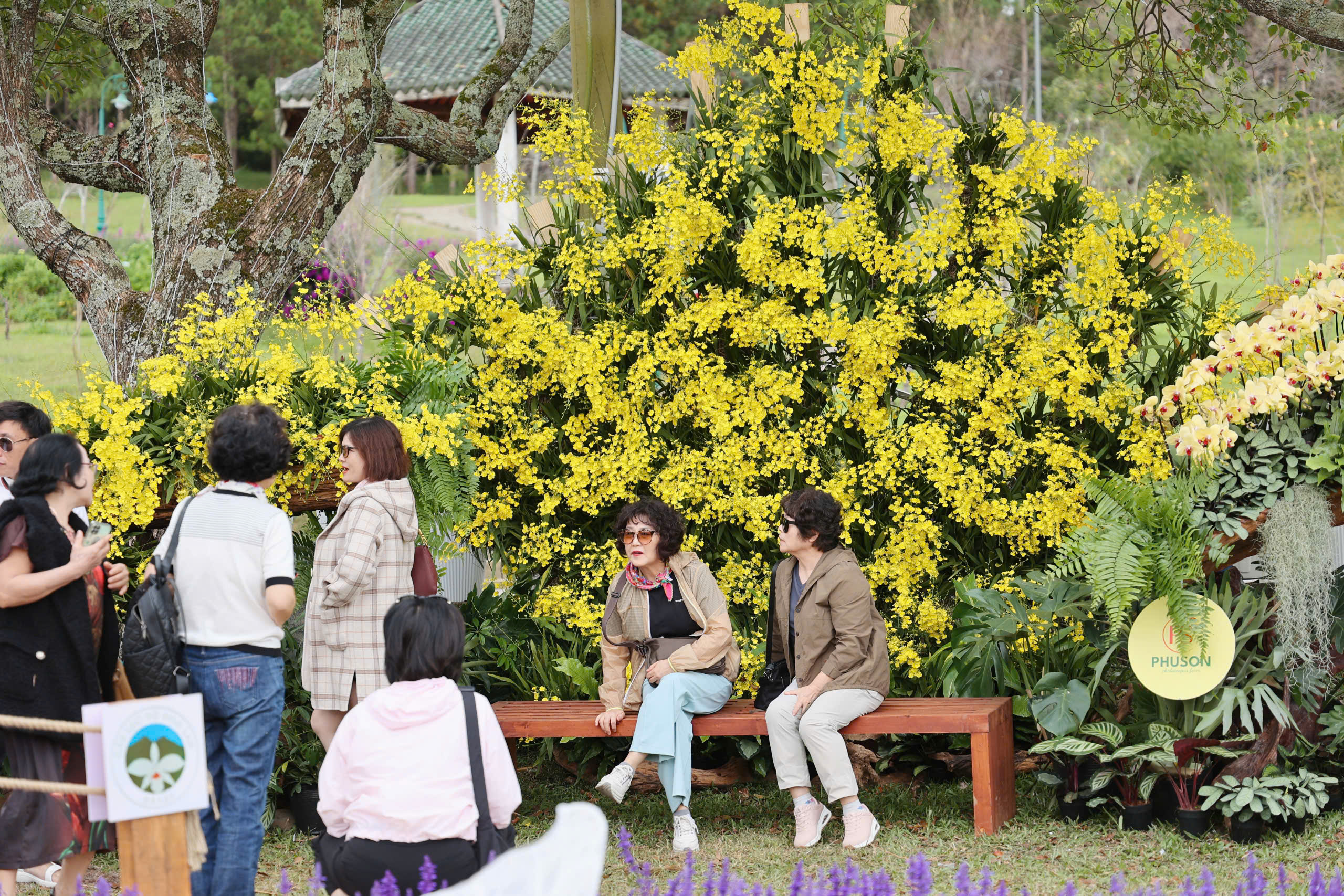 Check-in cùng bonsai khổng lồ, phố hoa khoe sắc tại Festival Hoa Đà Lạt - Ảnh 3.