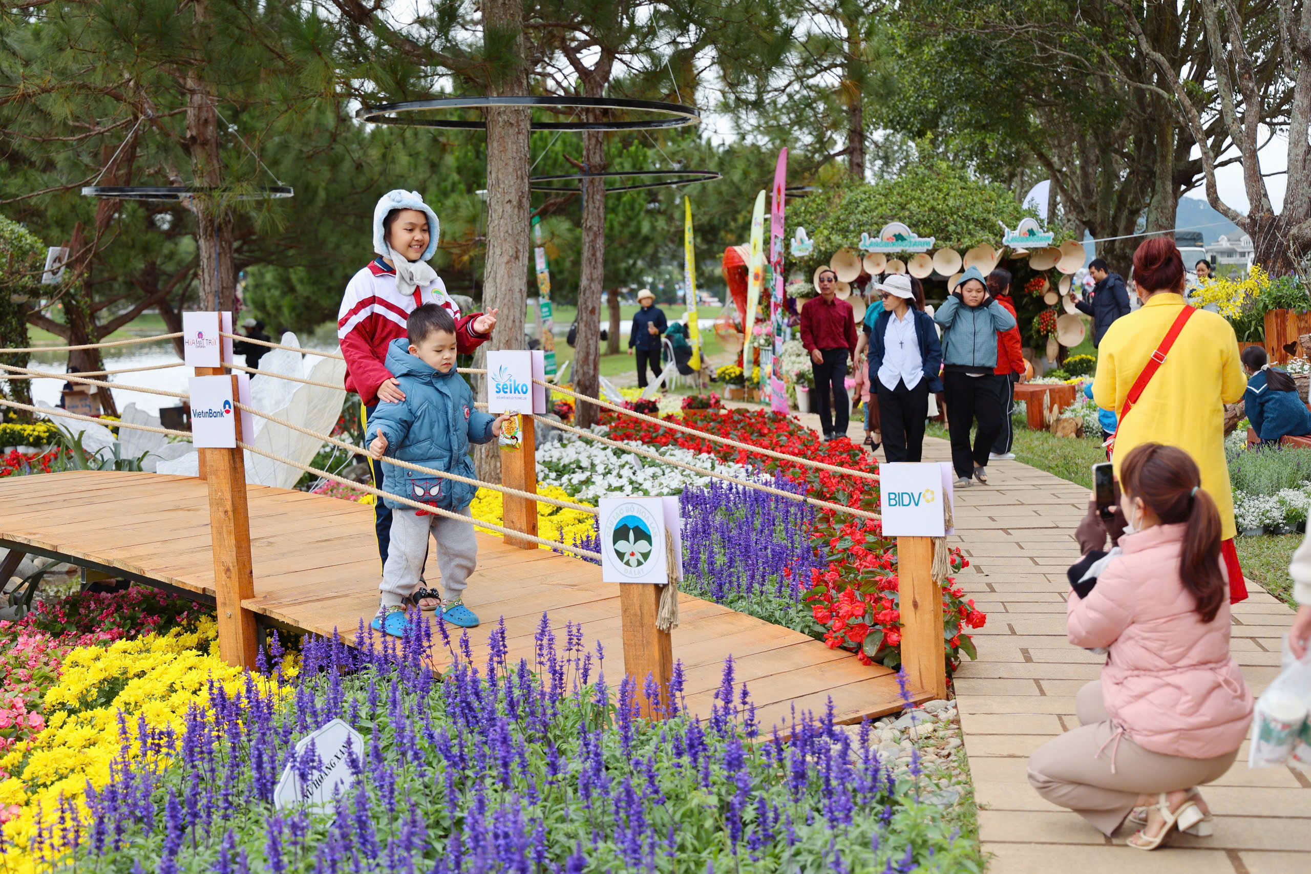 Check-in cùng bonsai khổng lồ, phố hoa khoe sắc tại Festival Hoa Đà Lạt - Ảnh 6.