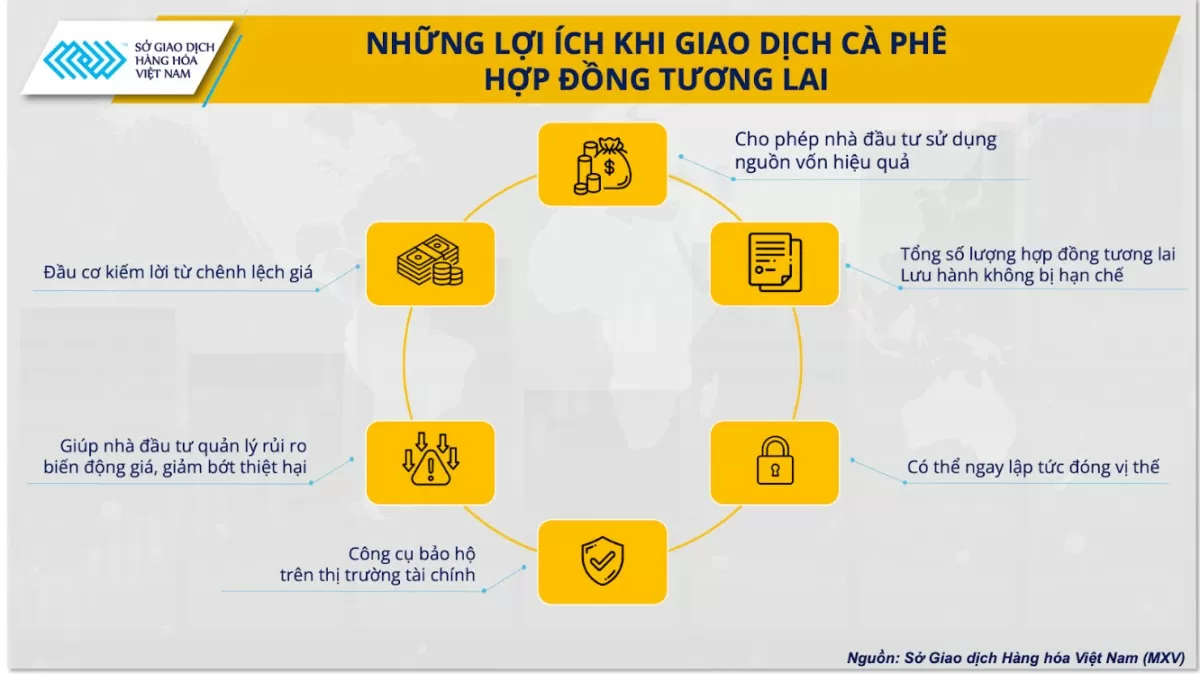 Làm cách nào để phòng rủi ro trước biến động mạnh của giá cà phê?