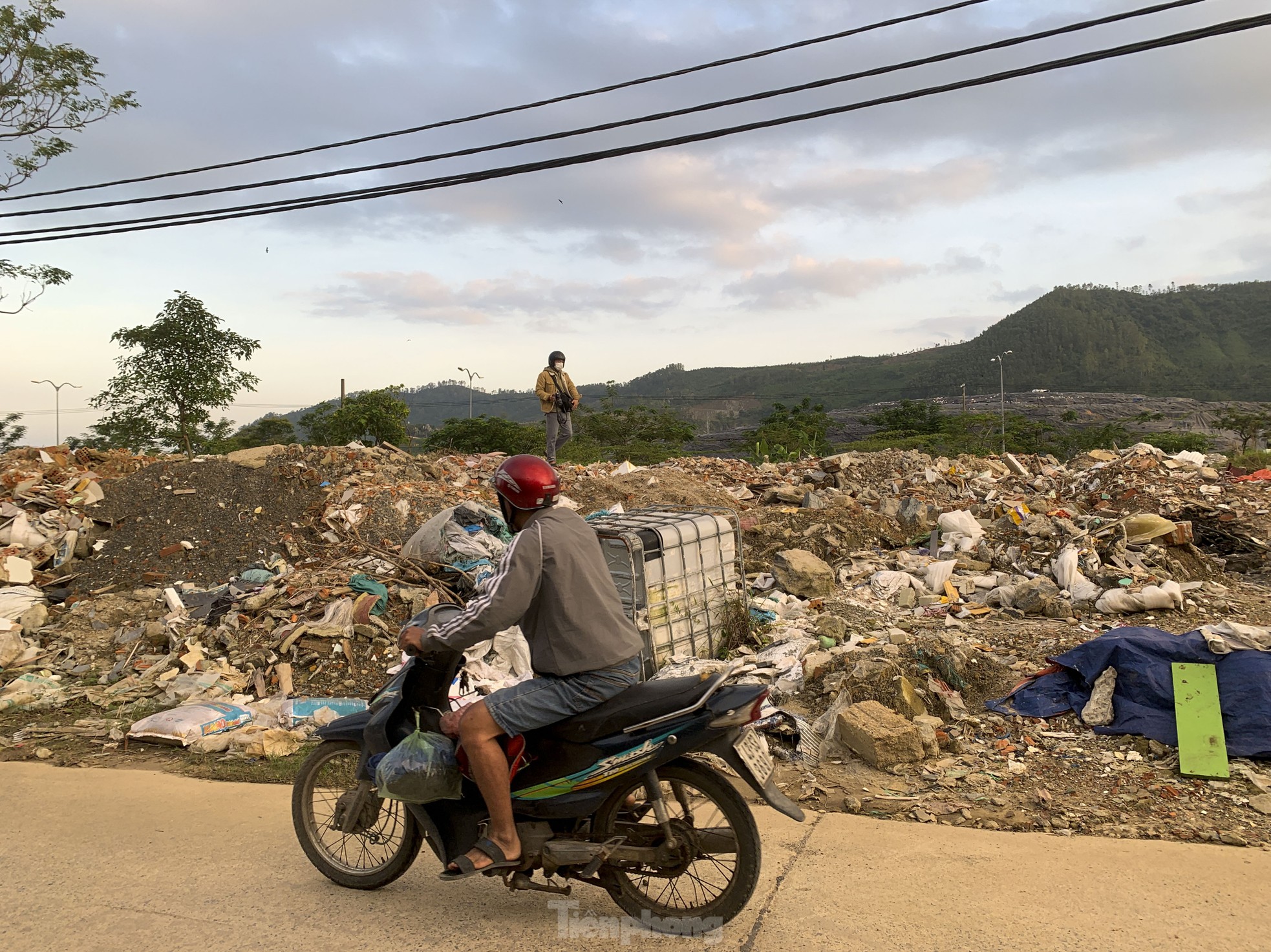 Bãi xà bần 'khủng' tự phát ở Đà Nẵng ảnh 3