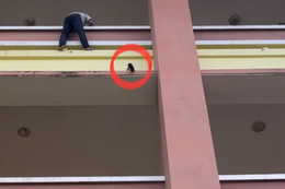 الصورة 1 (14).jpg