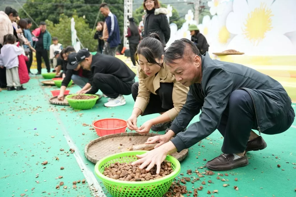 Hội hoa Sở Bình Liêu năm 2024