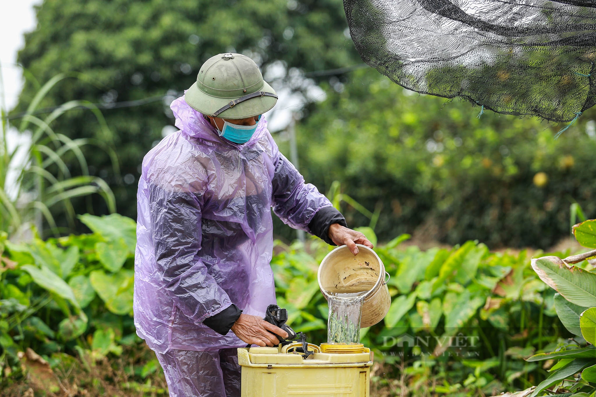 Nông dân Hà Nội trùm khăn kín mít, mặc áo mưa ra đồng làm việc dưới cái lạnh chỉ 15 độ C- Ảnh 5.