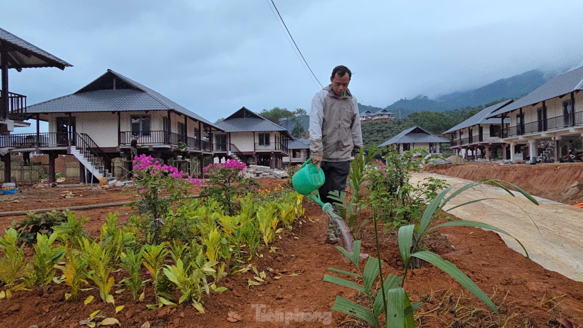 Người dân Làng Nủ dựng vườn, trồng hoa chuẩn bị về nhà mới ảnh 11