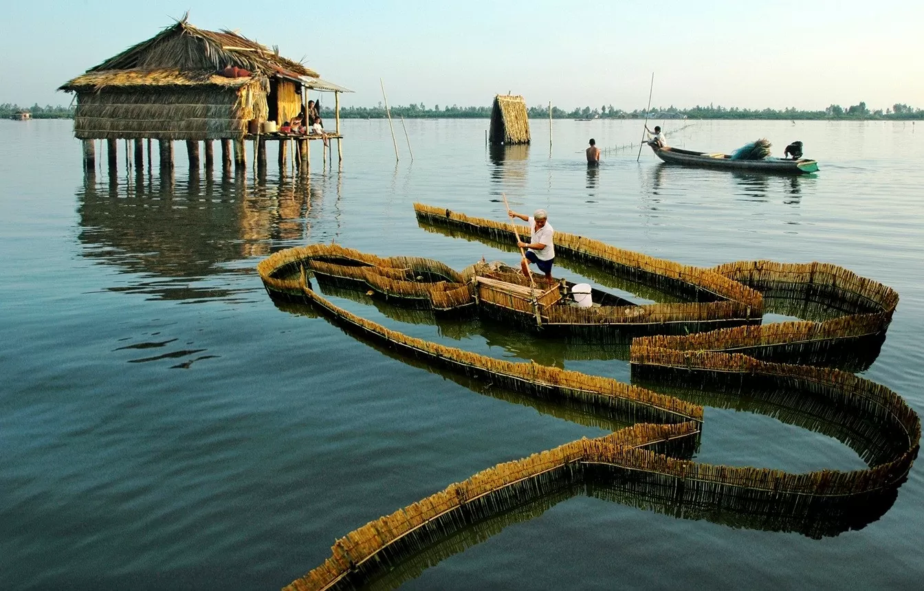 Ngư dân đặt nò trên đầm Thị Tường. Ảnh: Nguyễn Thanh Dũng/Cà Mau Tourism