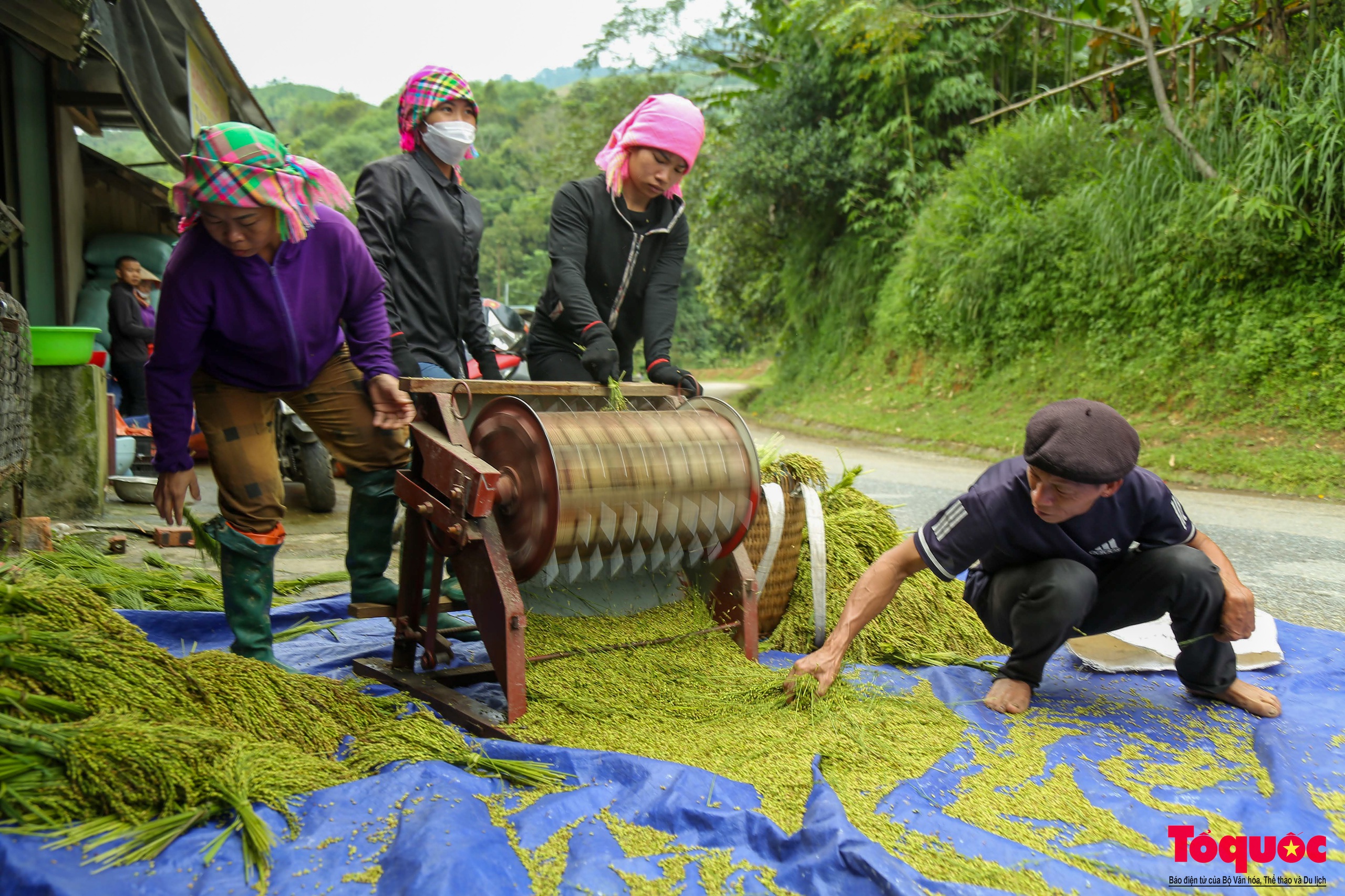 Cốm Tú Lệ - quà của núi rừng Tây Bắc - Ảnh 3.