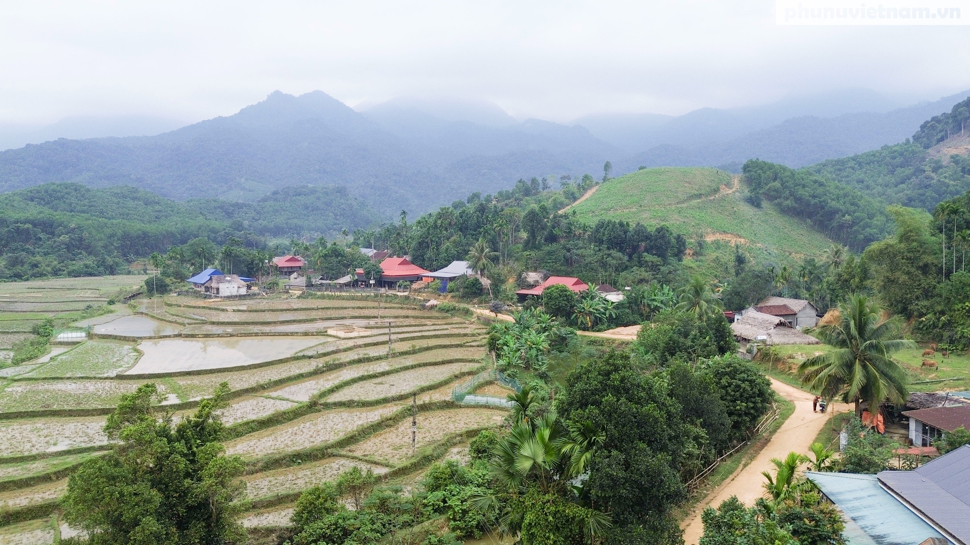 Xây dựng sản phẩm OCOP - giải pháp "thoát nghèo" cho bà con miền núi phía Tây Thanh Hóa- Ảnh 1.