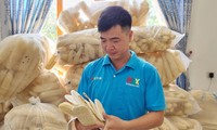 Nghỉ việc ngân hàng lương cao, chàng trai Bắc Ninh biến xơ mướp thành sản phẩm xuất khẩu nghìn đô