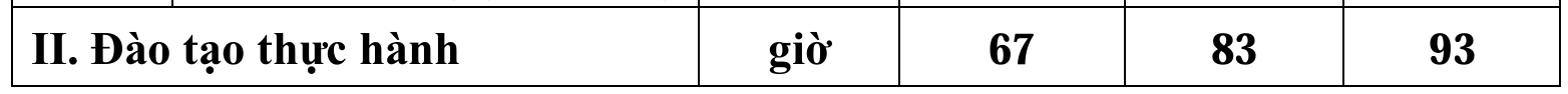 Từ 1/1/2025, sẽ có GPLX riêng cho xe điện- Ảnh 3.