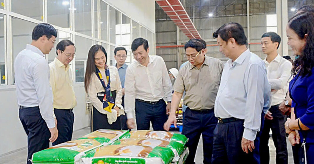 Chung tay xây dựng thương hiệu gạo Việt - Kỳ 3: Phải có logo thương hiệu gạo Việt
