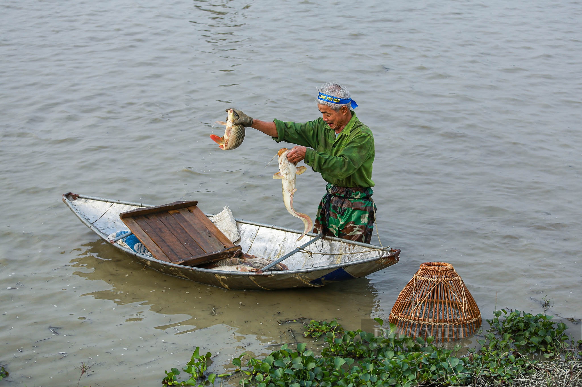 Vĩnh Phúc: Người dân đằm mình bắt cá dưới nhiệt độ 15 độ C tại Hội bắt cá đồng làng Phú Hậu- Ảnh 13.