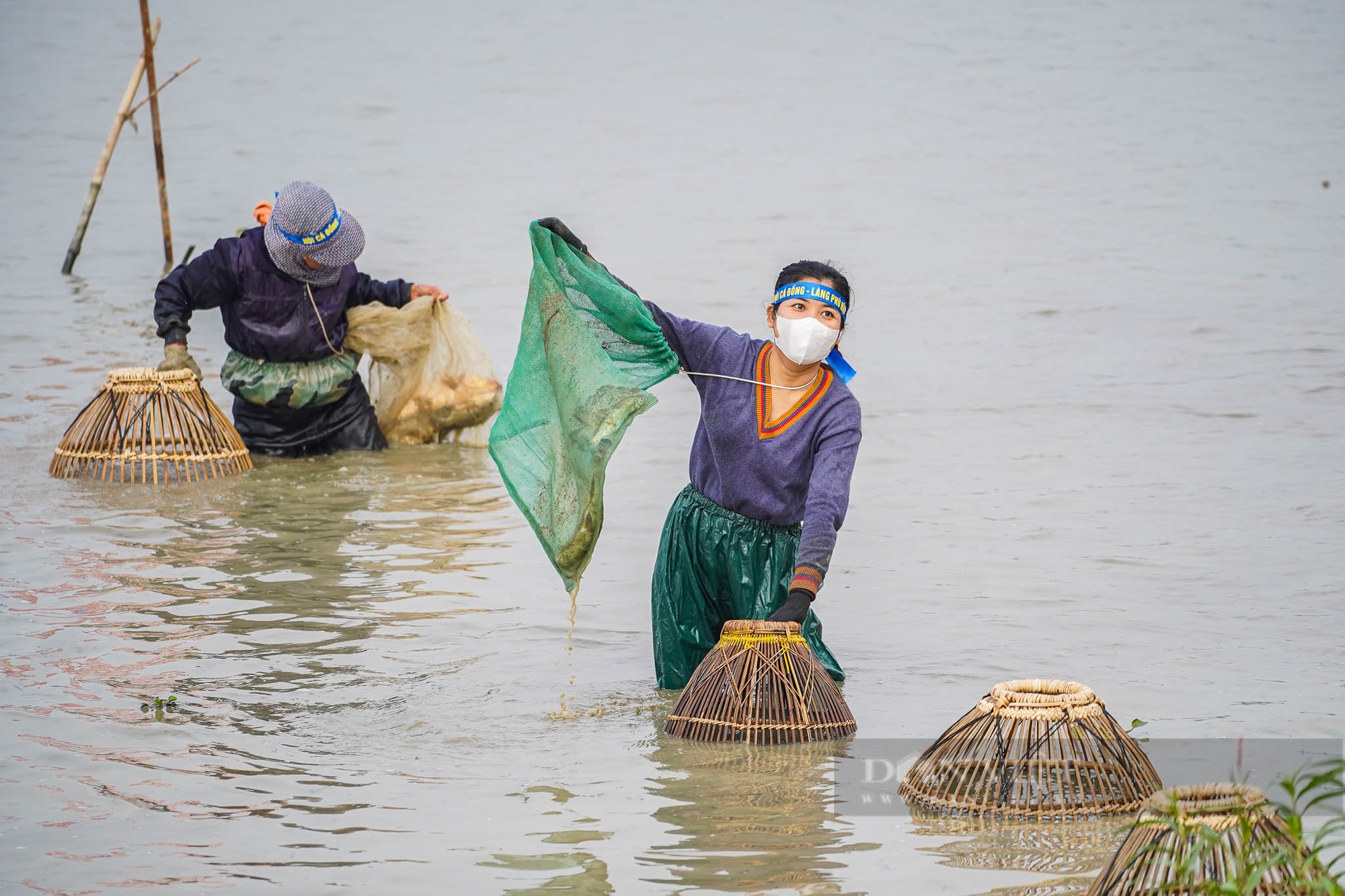 Vĩnh Phúc: Người dân đằm mình bắt cá dưới nhiệt độ 15 độ C tại Hội bắt cá đồng làng Phú Hậu- Ảnh 17.