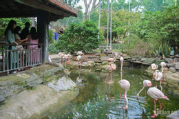 zoo 1.jpg