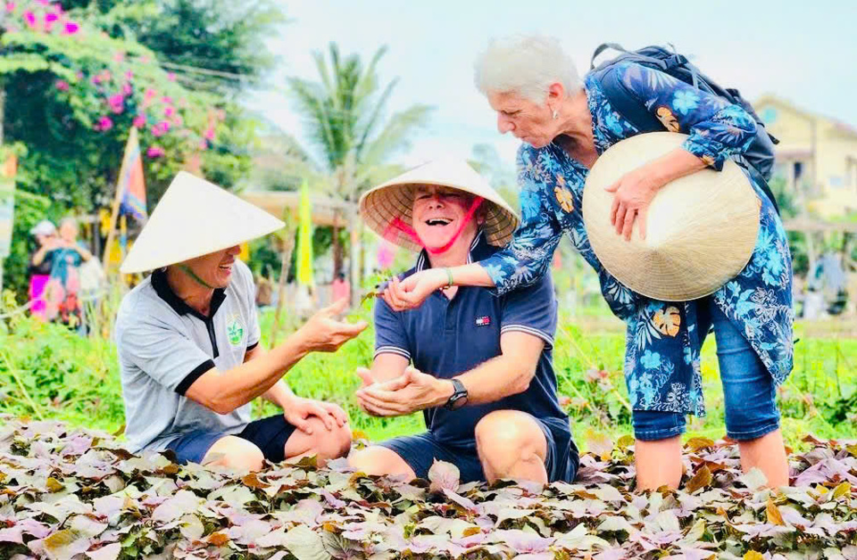 Làng rau Trà Quế, TP Hội An, tỉnh Quảng Nam được công nhận là Làng Du lịch tốt nhất năm 2024.