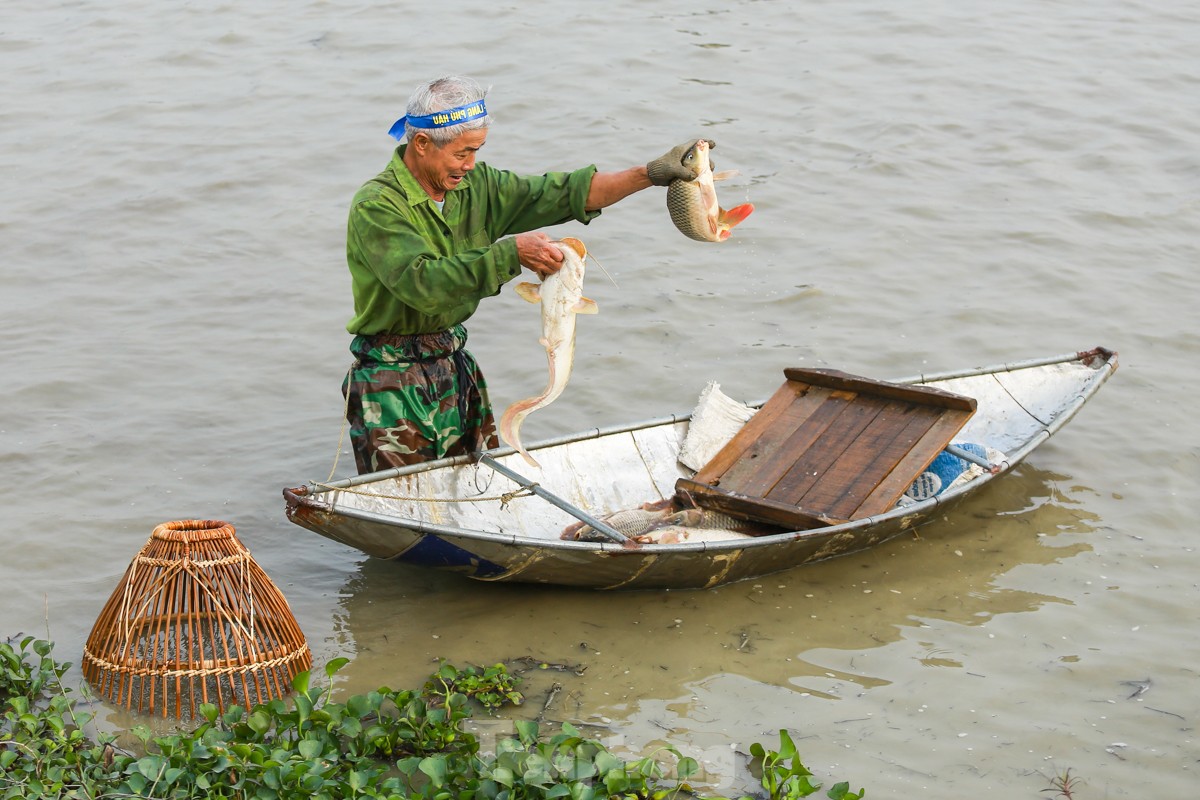 Hàng trăm người xuống ruộng bắt cá cầu may giữa trời lạnh 16 độ ảnh 12