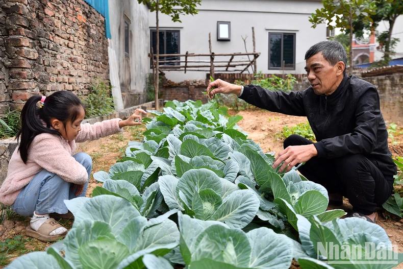 [Ảnh] Cô bé lớp 2 và câu chuyện hiến tóc tặng những "chiến binh K" ảnh 10