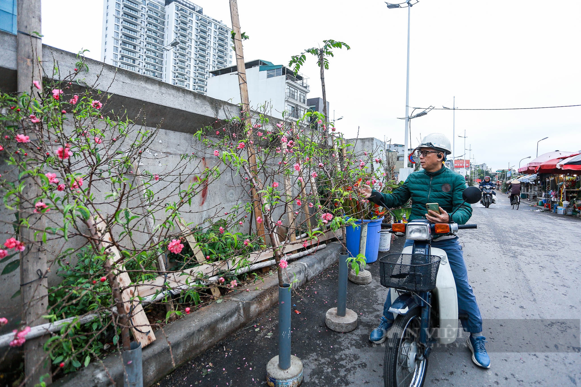 Đào, quất bắt đầu xuống phố, người dân háo hức mua về chơi Tết sớm- Ảnh 2.