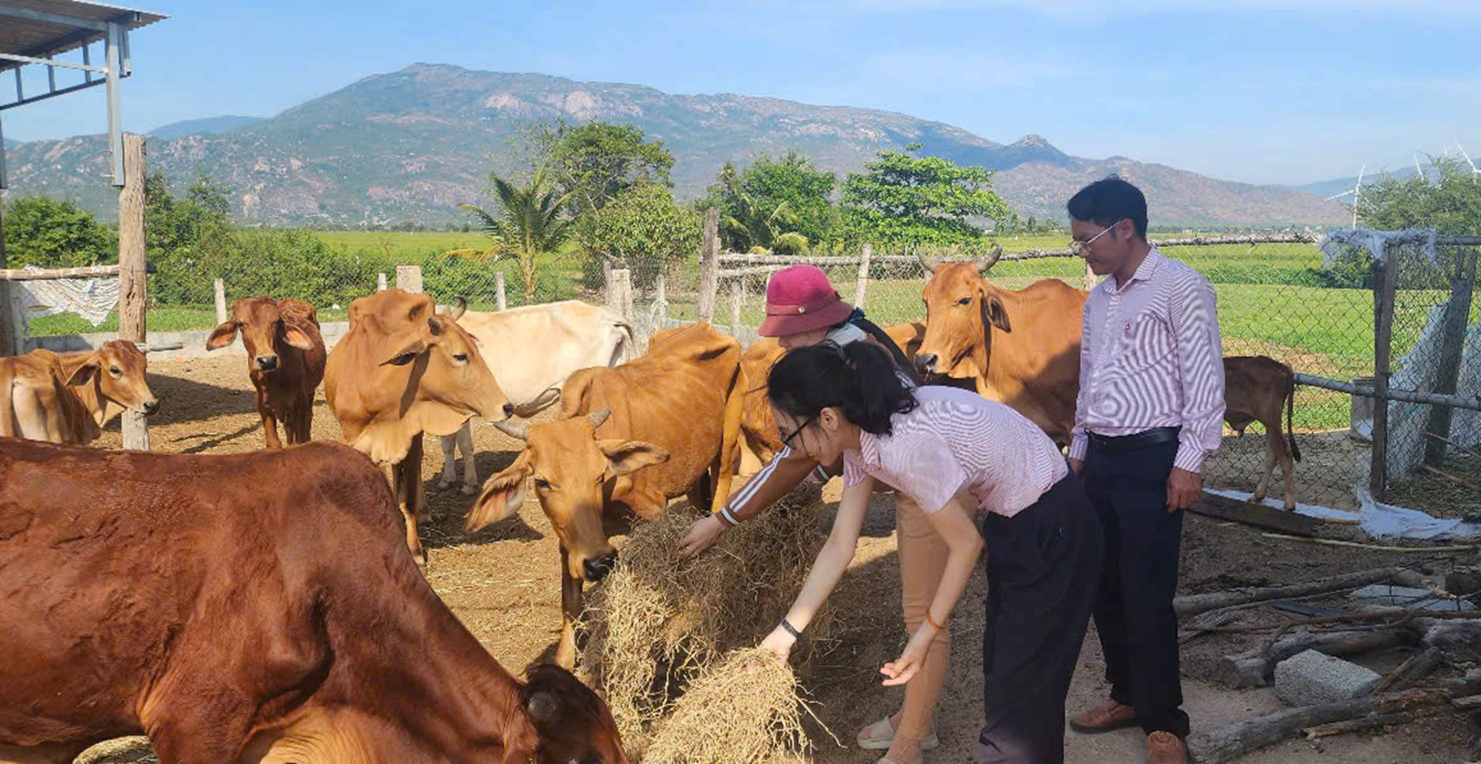 Ở Ninh Thuận cũng như các địa phương khác trong cả nước, việc sung nguồn lực để Ngân hàng Chính sách xã hội đẩy mạnh công tác cho vay là một điều rất quan trọng