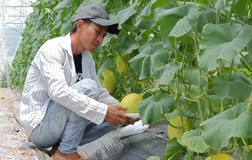 Lãi suất huy động liên tục tăng, lãi vay càng khó giảm thêm