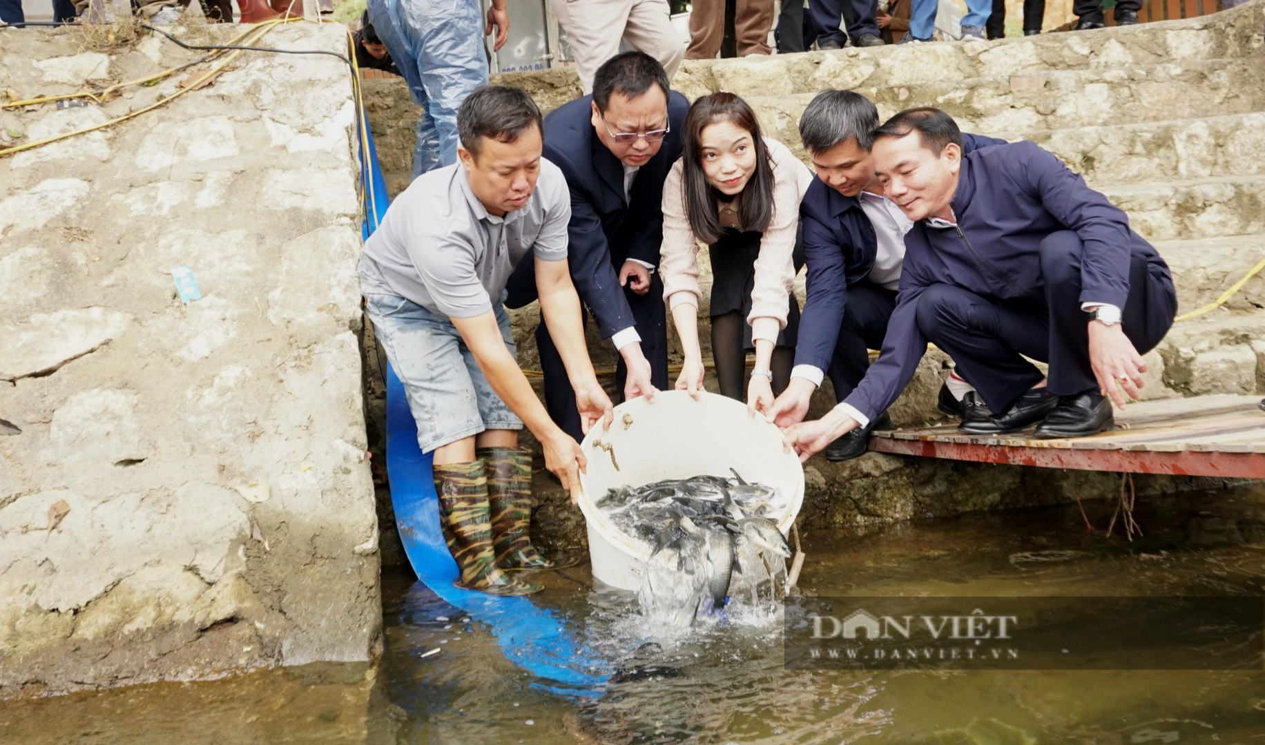 Thả cá giống xuống hồ Thác Bà, người dân, chính quyền và doanh nghiệp đều phấn khởi - Ảnh 6.