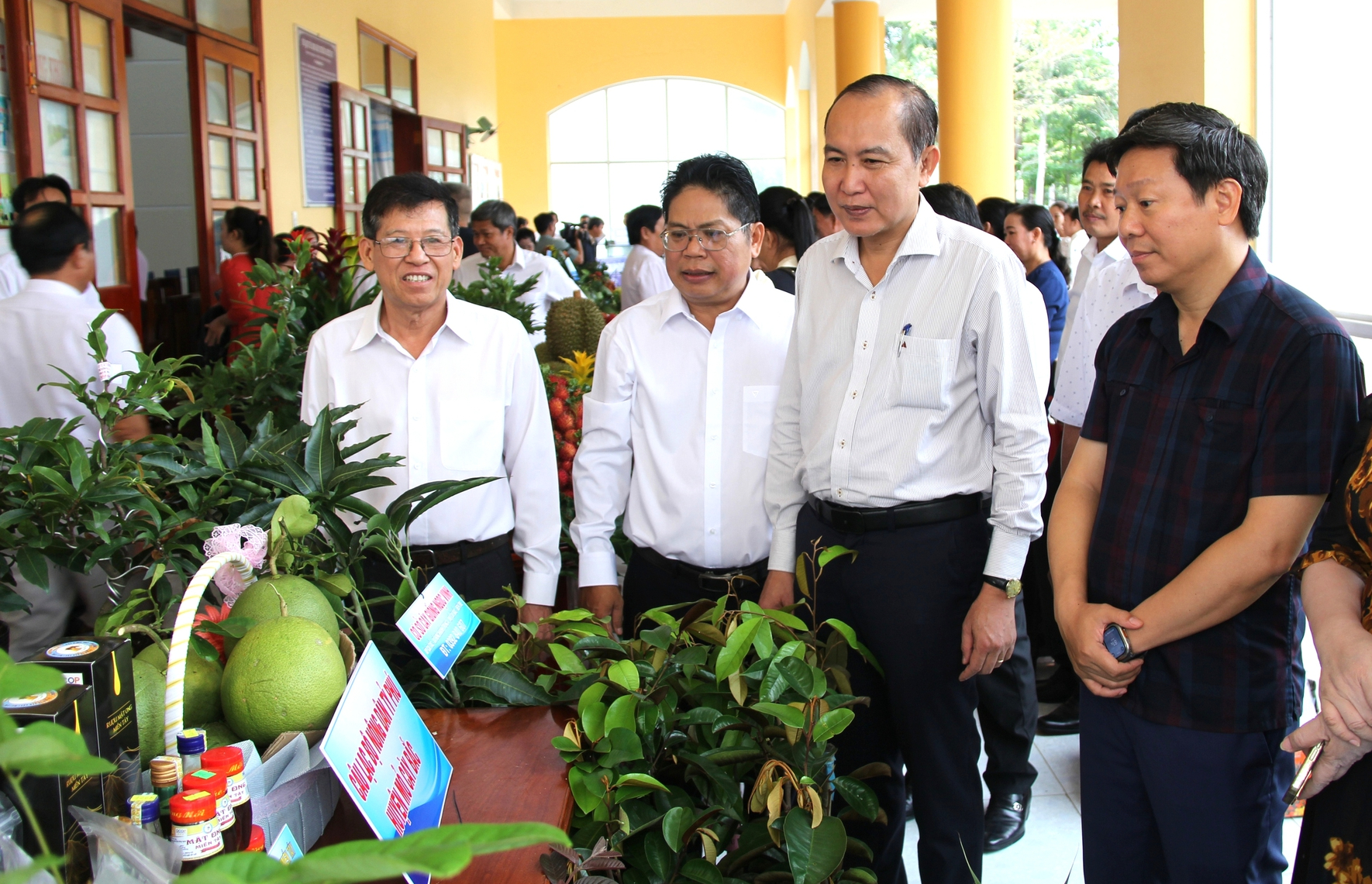 Phó Chủ tịch Thường trực T.Ư Hội NDVN Phan Như Nguyện: Câu lạc bộ Nông dân tỷ phú ở Bến Tre rất sáng tạo - Ảnh 5.