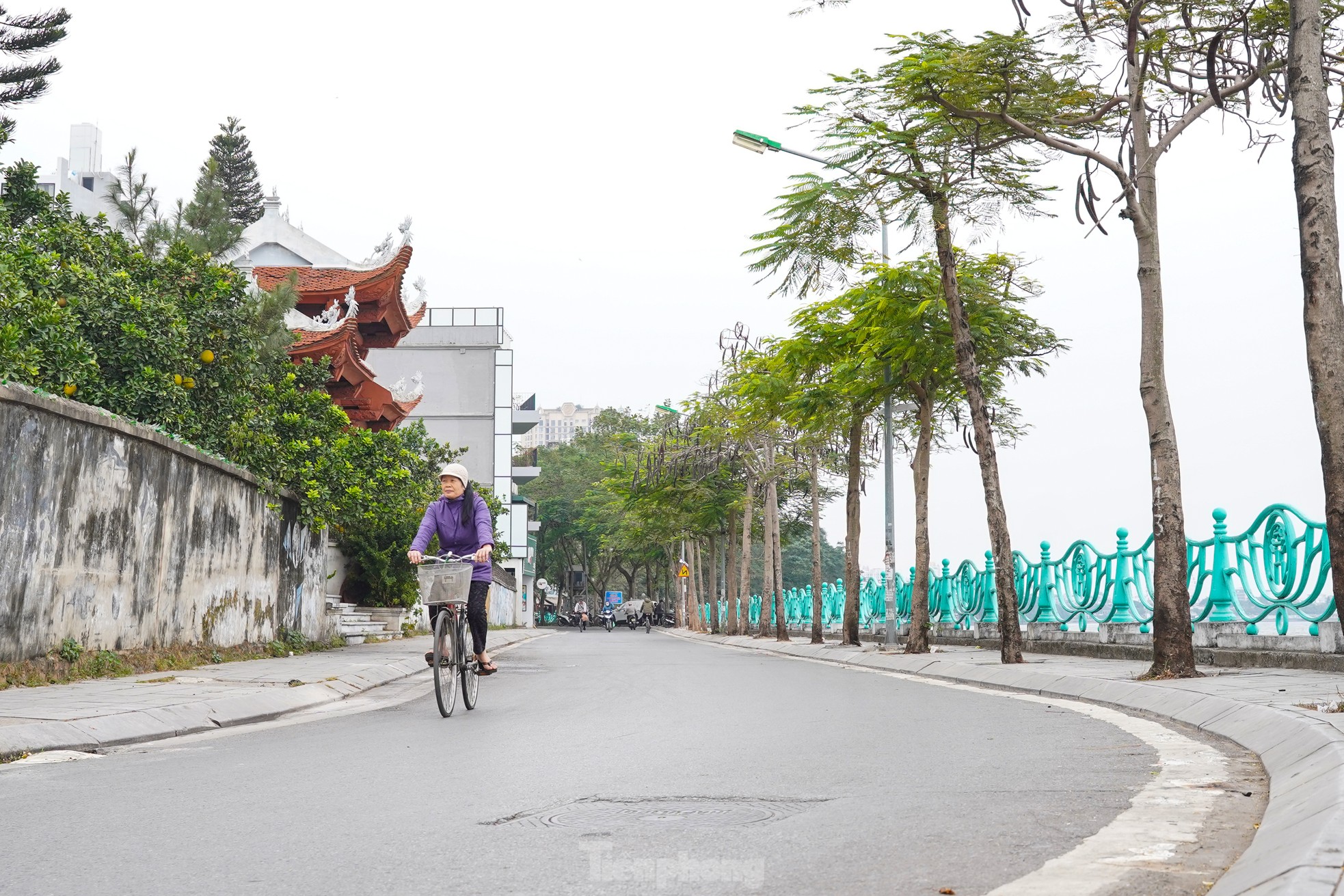 Phố phường Hà Nội vắng vẻ trong ngày cuối tuần rét đậm ảnh 13