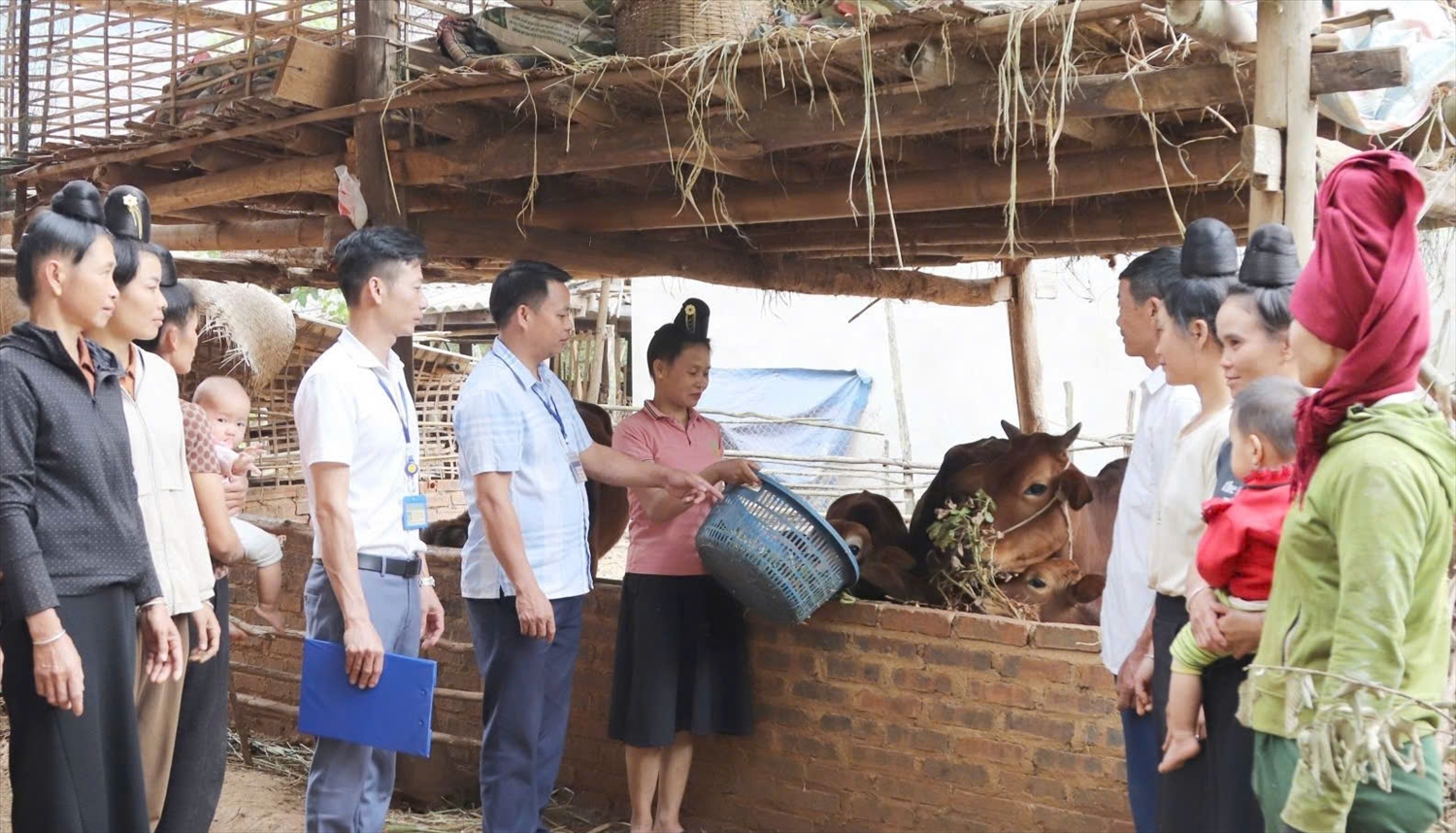 Cán bộ xã Bon Phặng, huyện Thuận Châu (Sơn La) tuyên truyền nhân dân xây chuồng trại kiên cố, nuôi gia súc nhốt chuồng