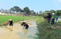 Du khách hồ hởi khi được trải nghiệm làm nông dân trong tour du lịch nông nghiệp. (Ảnh: B.C)