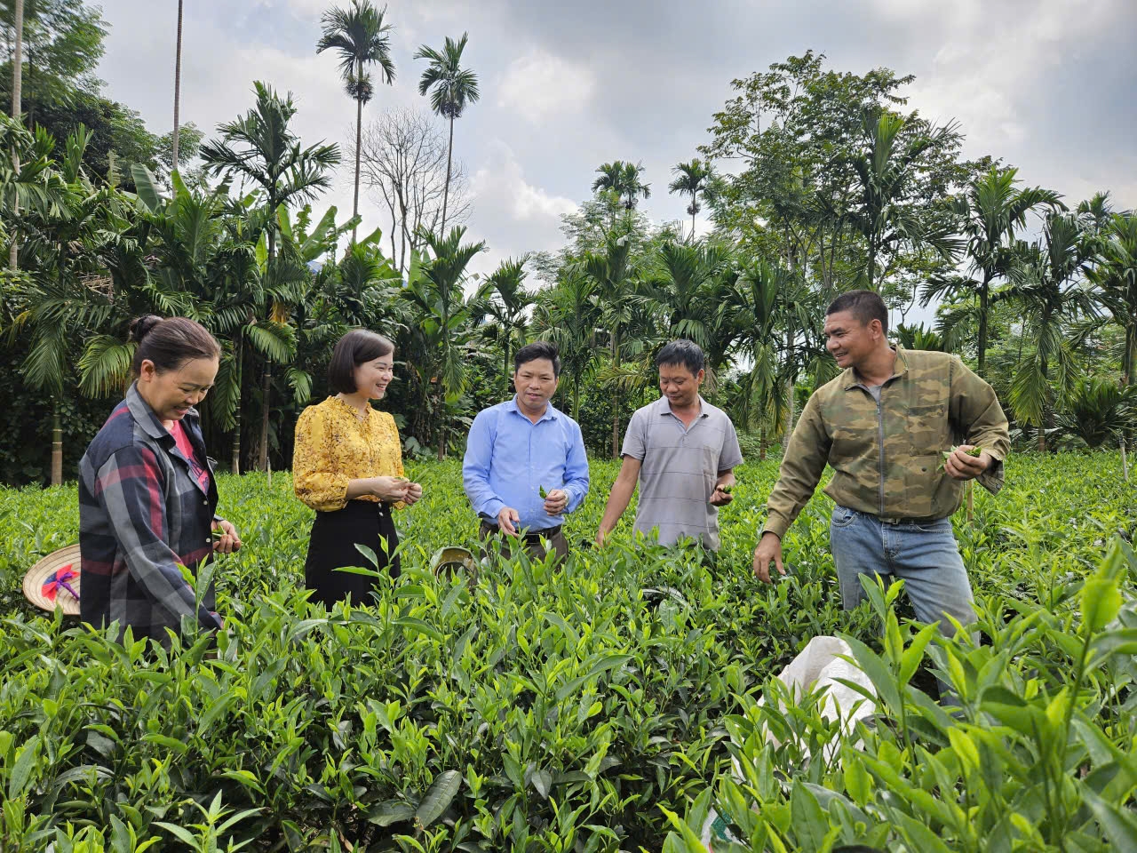 Thái Nguyên: Cán bộ Hội Nông dân đề xuất hỗ trợ kỹ thuật và vốn để nông dân phát triển sản xuất - Ảnh 2.