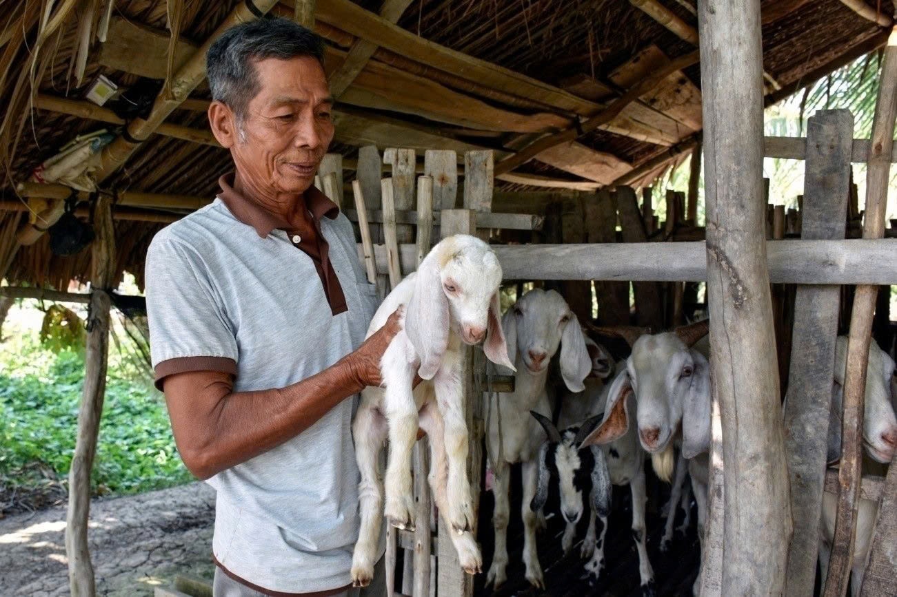 CCB Trương Văn Chính, xã Thạnh Ngãi vươn lên thoát nghèo từ nuôi dê giống, do mô hình “5+1” giúp vay vốn ban đầu.