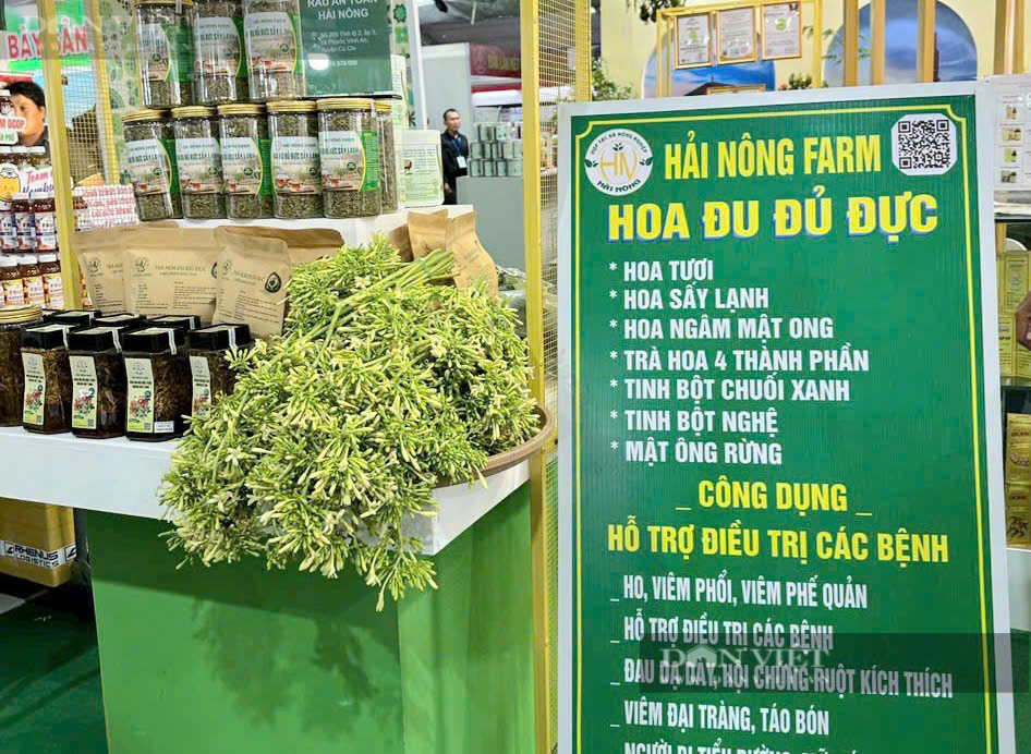 Trồng loại cây có bông “thần dược”, anh nông dân Sài thành làm dược phẩm nhẹ nhàng thu lời - Ảnh 4.