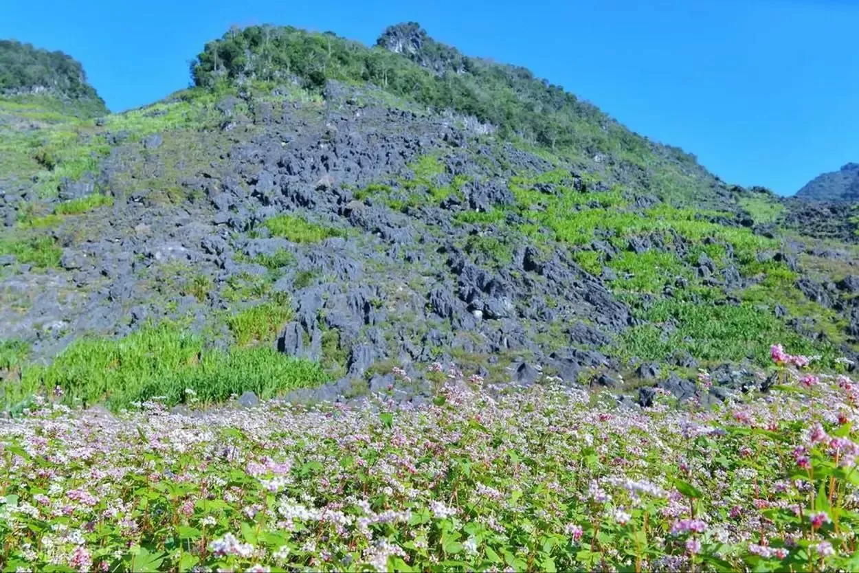 Khám phá Dinh thự Vua Mèo: Công trình trăm năm tuổi ở Đồng Văn, Hà Giang