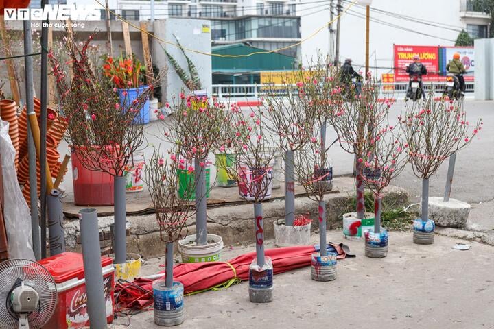 "Hôm qua mới nhập về khoảng hơn 40 cành đào lớn nhỏ, nhưng qua một ngày tôi đã bán được hơn 10 cành rồi. Khách hàng tầm này là những người khá giả, sẵn sàng chi nhiều tiền hơn để mua, hưởng không khí Tết sớm", chị Hậu nói.