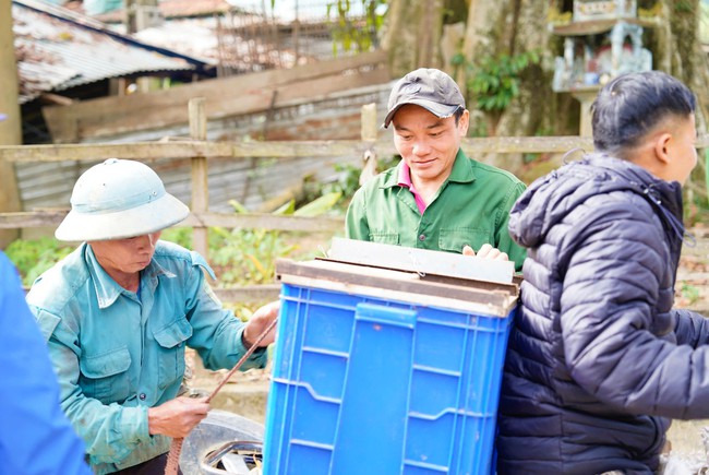 Loài động vật hoang dã quý hiếm là hậu duệ của 