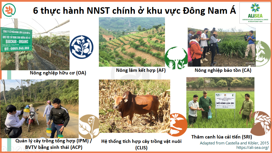 (Bài 1): Nông nghiệp sinh thái mang lại 