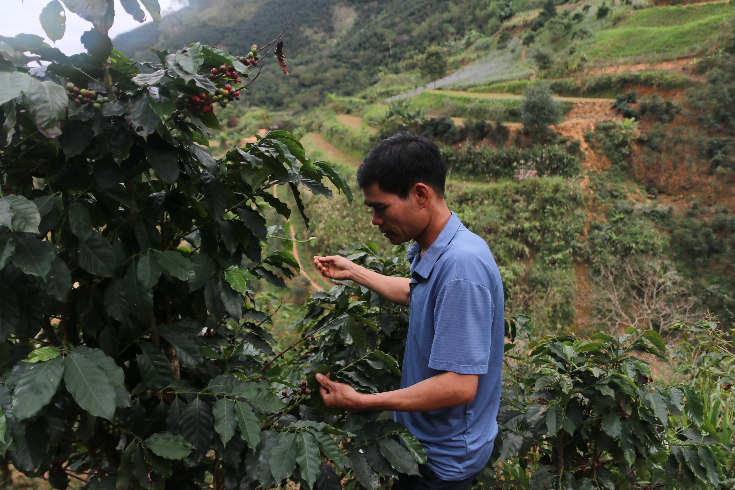 (Bài 1): Nông nghiệp sinh thái mang lại 