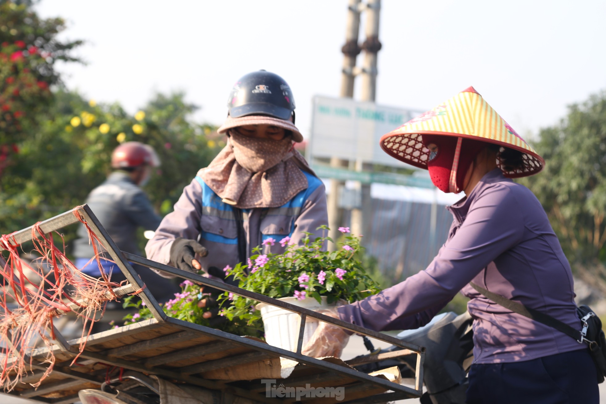 Mưu sinh ở làng hoa mong Tết ấm ảnh 3