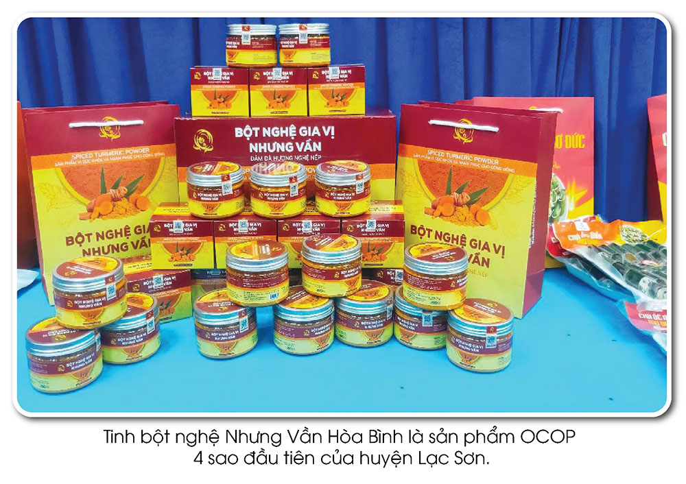 Dấu ấn của niềm tin và thương hiệu sản phẩm OCOP Lạc Sơn - Ảnh 3