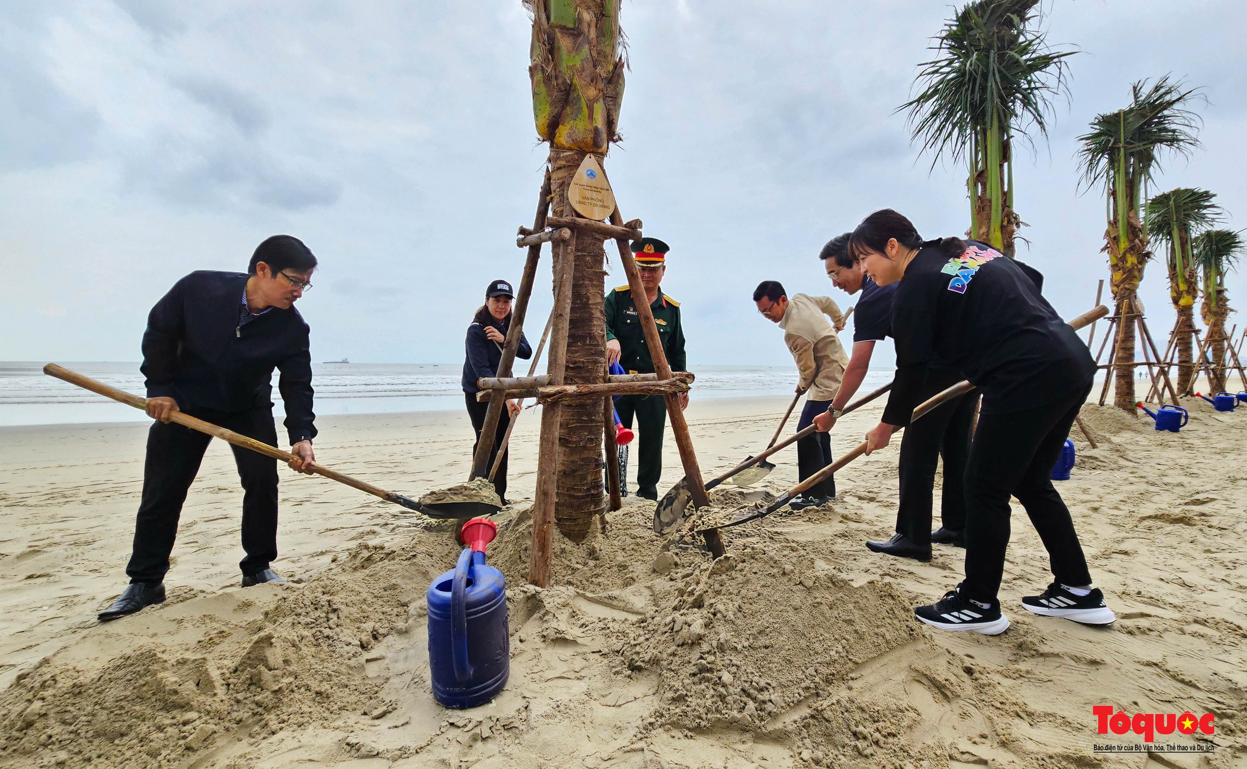 Đà Nẵng trồng dừa tại các bãi biển du lịch, tạo cảnh qua xanh phục vụ người dân và du khách - Ảnh 3.