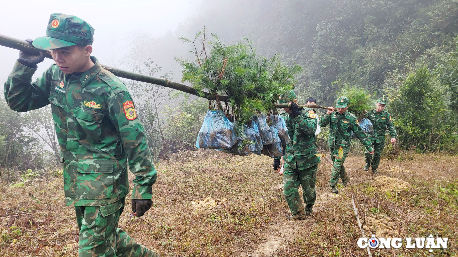 nhieu hoat dong y nghia huong ve bien cuong to quoc hinh 4