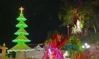 Công nhận kỷ lục Việt Nam cho cây thông Noel làm từ hàng triệu vỏ sò, ốc, hến