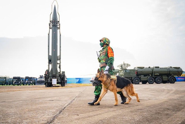 Dan khi tai quan su khung tai Vietnam Defence Expo 2024-Hinh-10